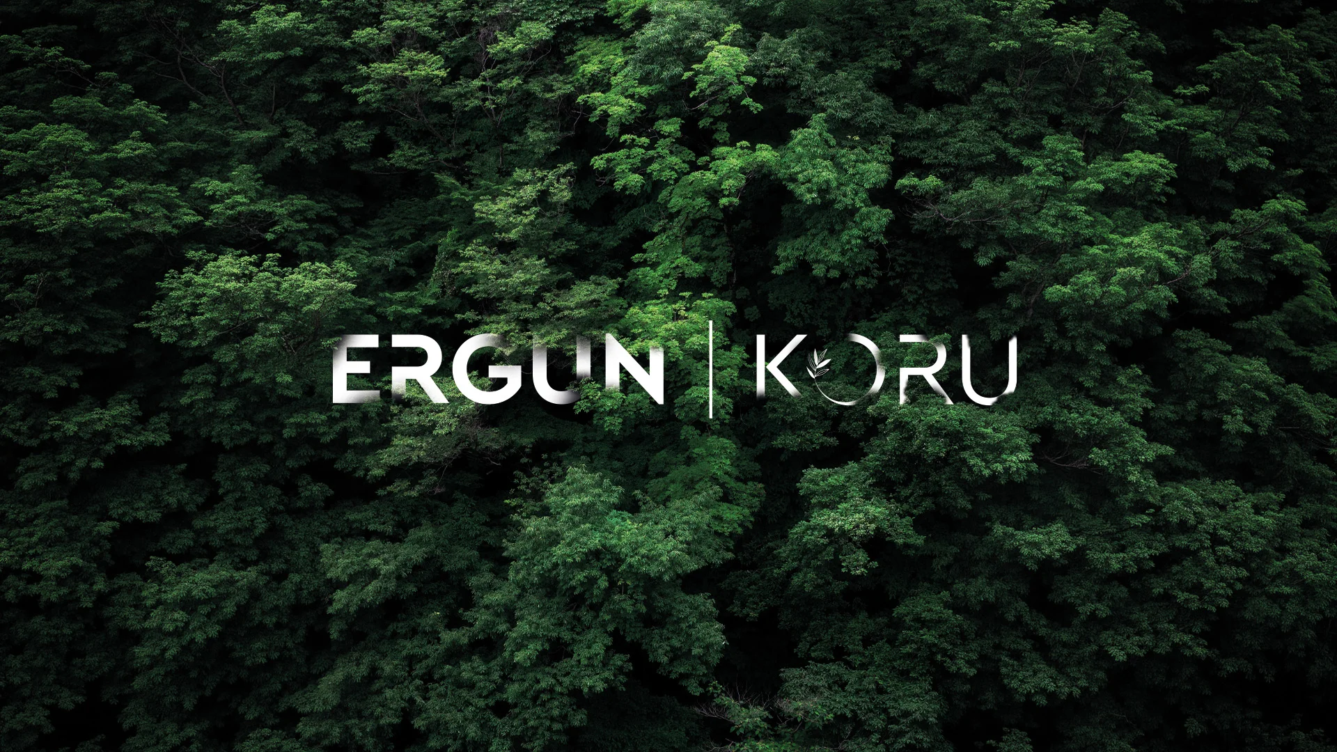 ERGUN KORU